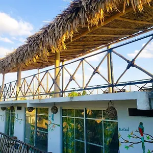 La Casa De Aves , Bacalar Mexiko